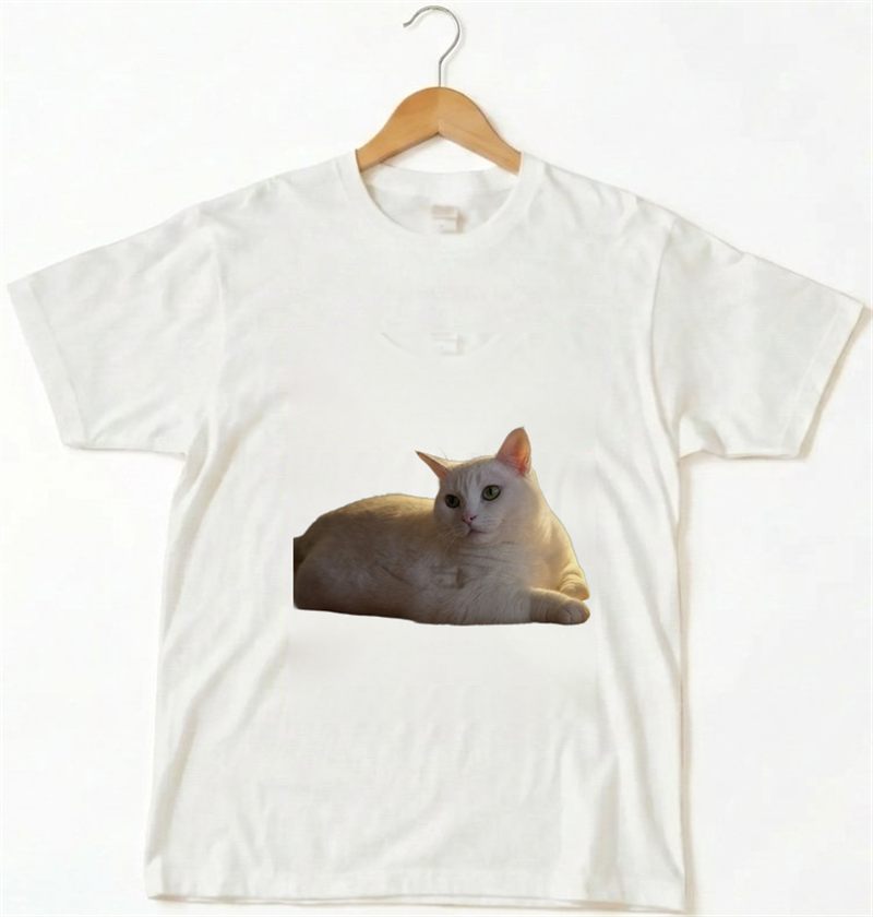 Tシャツ